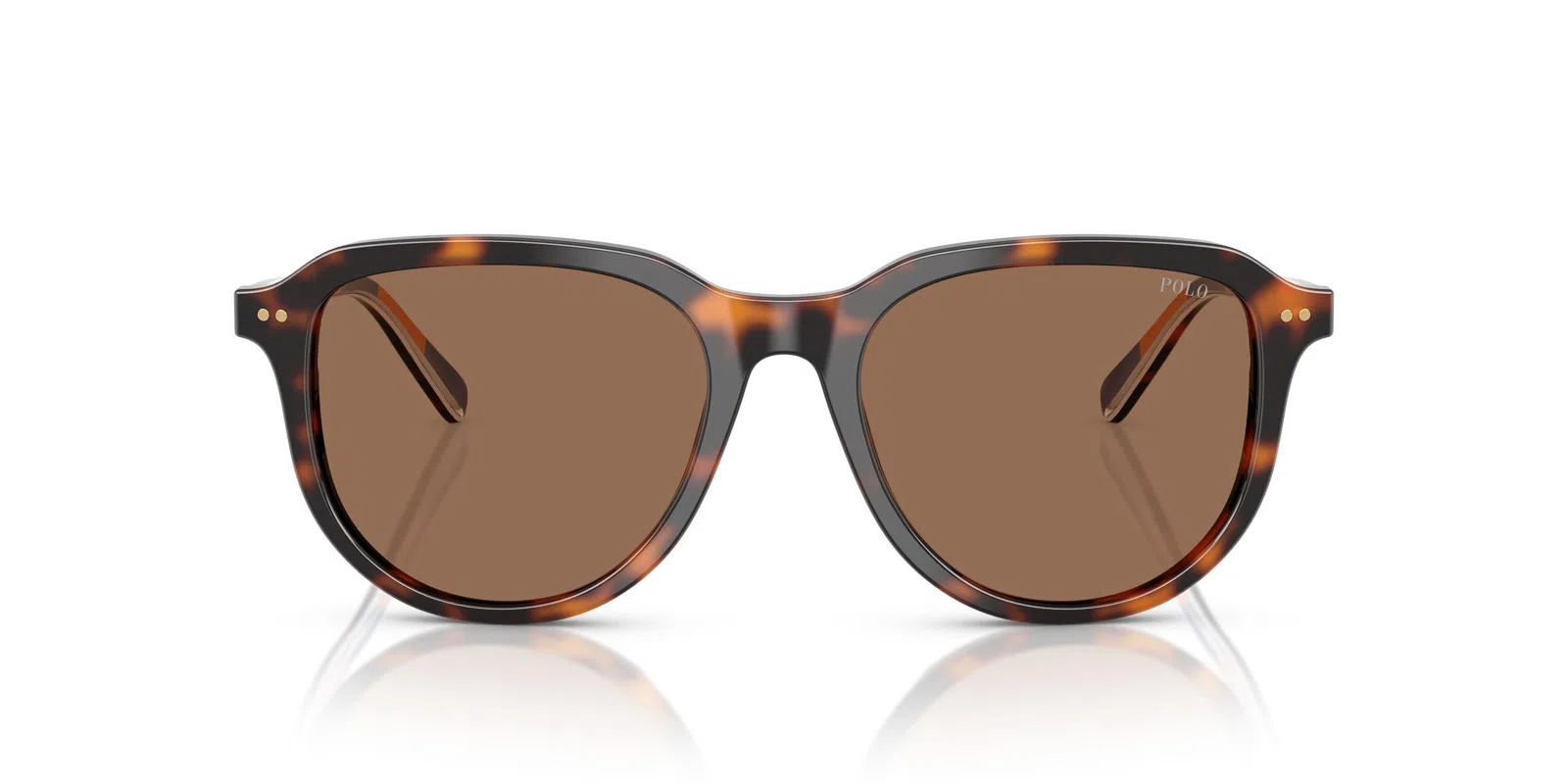 Polo 4225 Sunglasses - view 23
